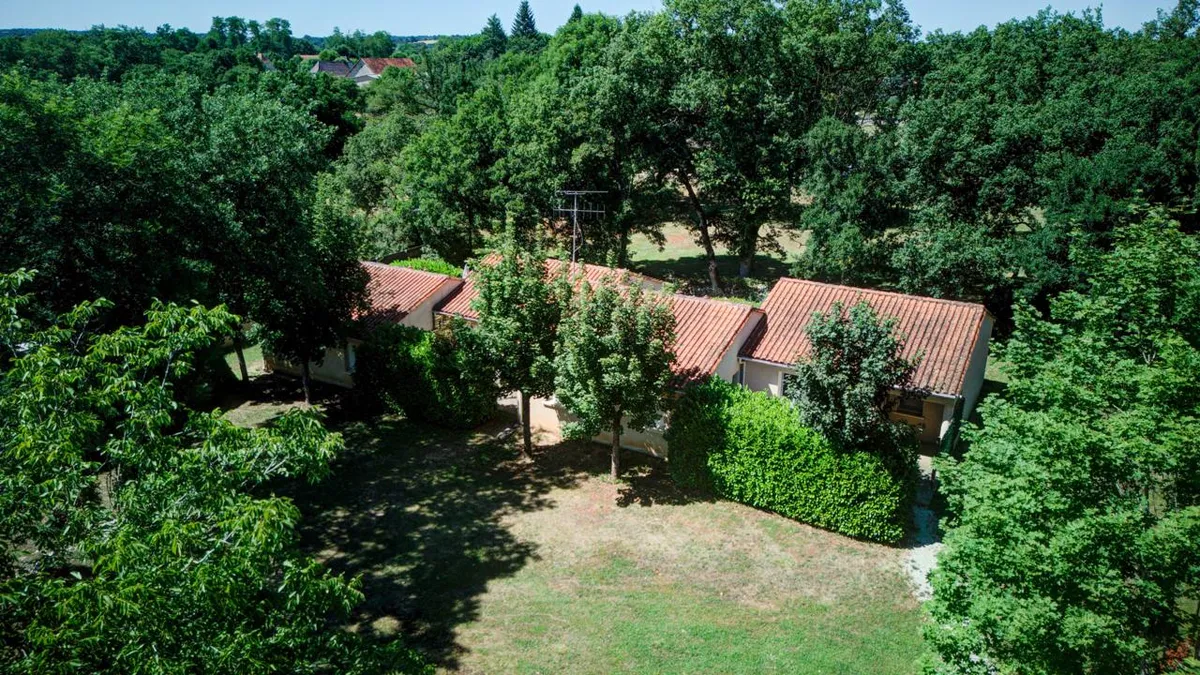 Saule27